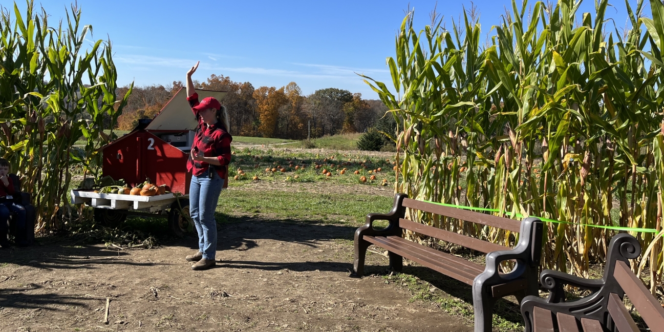 pumpkin tour