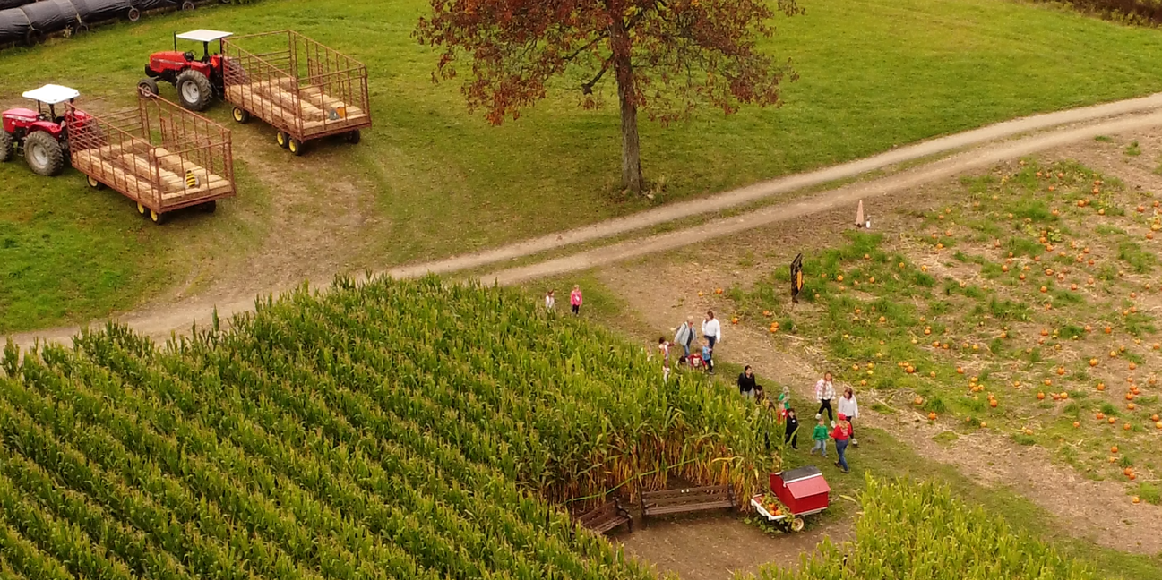 corn classroom
