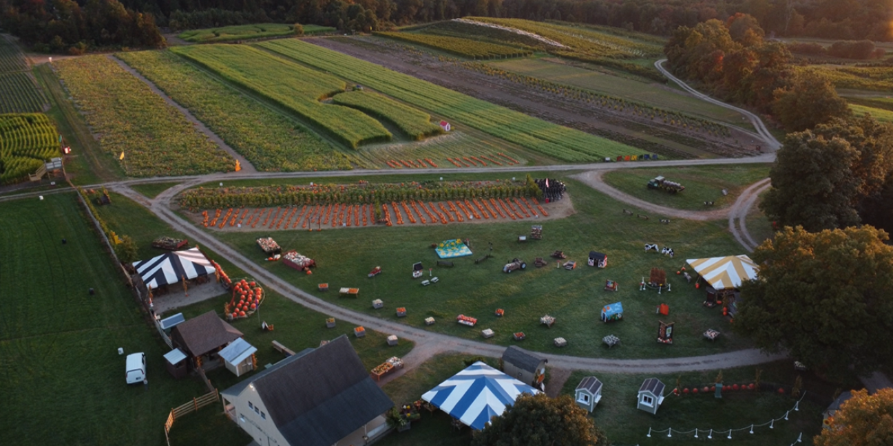 pumpkinseed hill