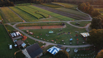 pumpkinseed hill